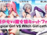 魔法少女 VS 魔女娘キャットファイト